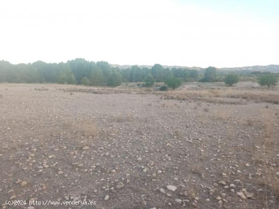  Terreno en Rio LUCHENA - MURCIA 