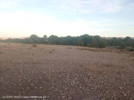 Terreno en Rio LUCHENA - MURCIA