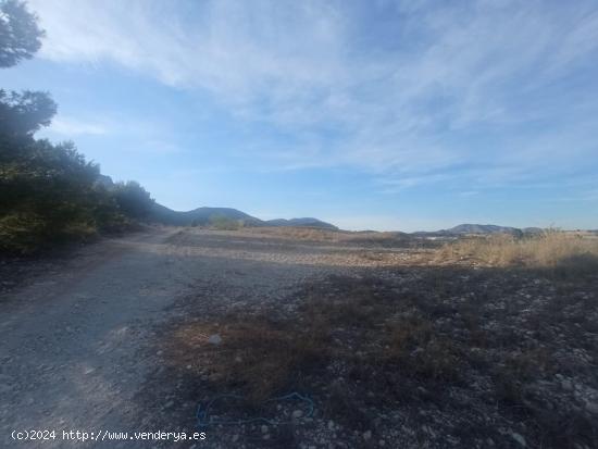 Terreno en Rio LUCHENA - MURCIA