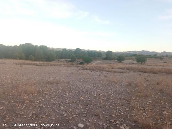 Terreno en Rio LUCHENA - MURCIA