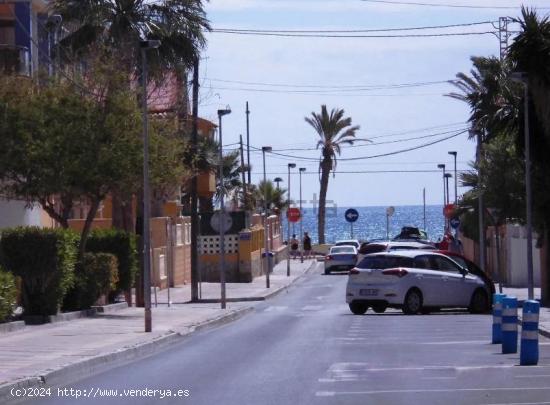 PLAYA MUCHAVISTA, alquiler - ALICANTE