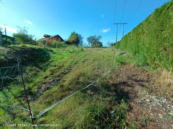 ESTUPENDA FINCA URBANA EN  ZURITA.- - CANTABRIA