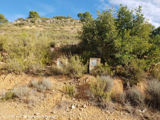 Parcela en LES MALLAES - VALENCIA