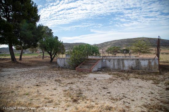 CASA CUEVA + CASA CON TERRENO y PISCINA + BODEGA todo en la misma finca - MURCIA