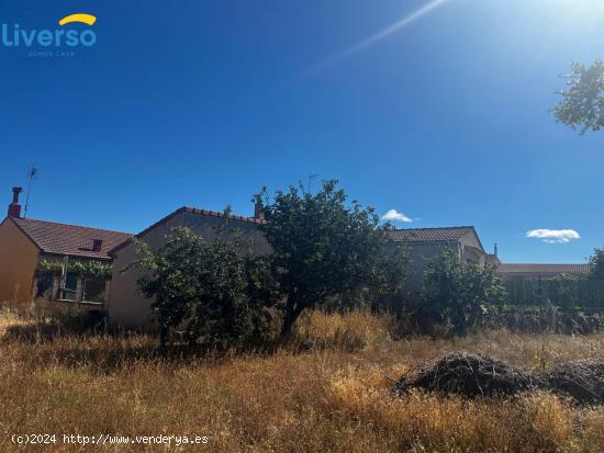 Construye tu casa a medida en esta fantástica parcela urbana en Villanueva de Gumiel - BURGOS