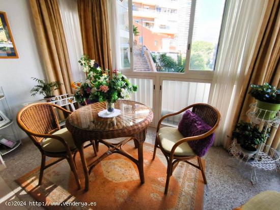 APARTAMENTO A 50METROS PLAYA PONIENTE www.inmobiliarialesdunes.com - ALICANTE