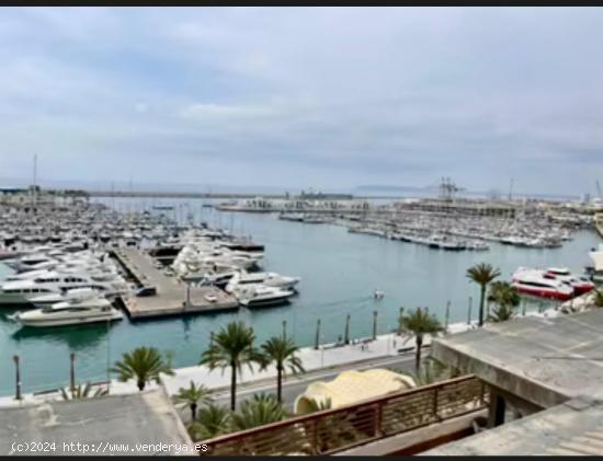  ALQUILER DE EXCELENTE ATICO ZONA ENSANCHE CON VISTAS HERMOSAS AL MAR - ALICANTE 