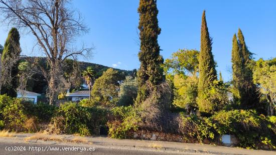 Finca para construir su hogar en la carretera de Las Ermitas - CORDOBA