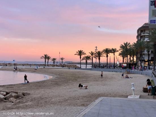 SE ALQUILA APARTAMENTO DE 2 D A TAN SOLO 100 METROS DE LA PLAYA DEL CURA EN TORREVIEJA - ALICANTE