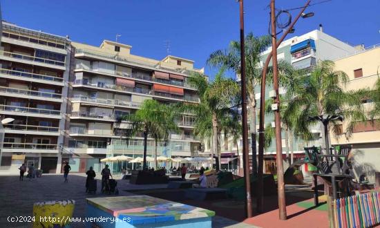  ALG137 - PISO-PLANTA BAJA DE 380M2 EN LA PLAÇA DEL MERCAT DE ALGEMESÍ - VALENCIA 