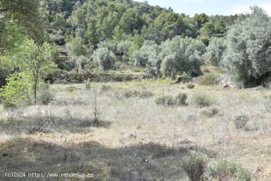 Terreno llano y espacioso con posibilidad de construir - TERUEL