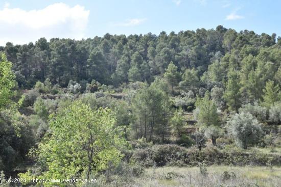 Terreno llano y espacioso con posibilidad de construir - TERUEL