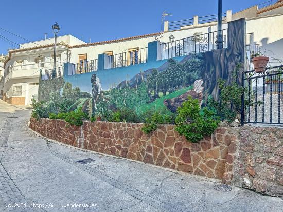 CASA INDEPENDIENTE EN ALCOLEA - ALMERIA