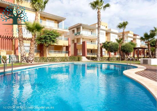 PRECIOSO APARTAMENTO EN RESIDENCIAL HACIENDA DEL ÁLAMO - MURCIA