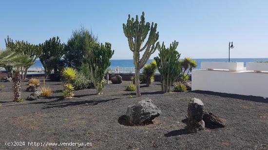 Se alquila un precioso apartamento de 2 dormitorios en los Pocillos, primera línea del mar - LAS PA