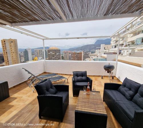  LOFT CON AMPLIA TERRAZA Y LICENCIA VACACIONAL!!!! - ALICANTE 