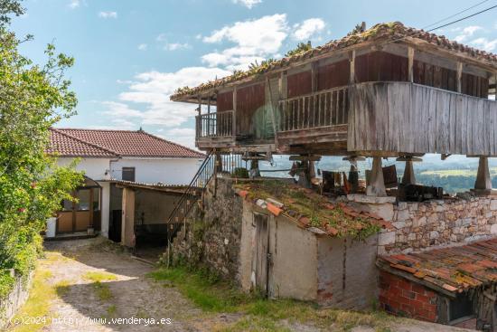  Casa de Pueblo con Panera, Granero, Cuadra y Más de 90.000m2 para Uso Agrario  - ASTURIAS