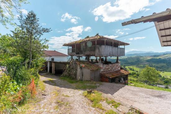  Casa de Pueblo con Panera, Granero, Cuadra y Más de 90.000m2 para Uso Agrario  - ASTURIAS