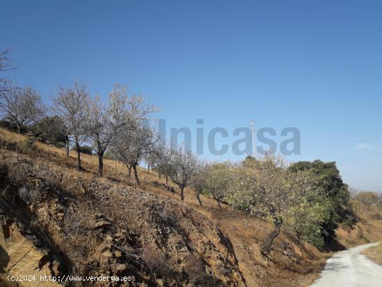  Terreno rustico de 91.140m2 en Paraje de Santa Cruz - MALAGA 