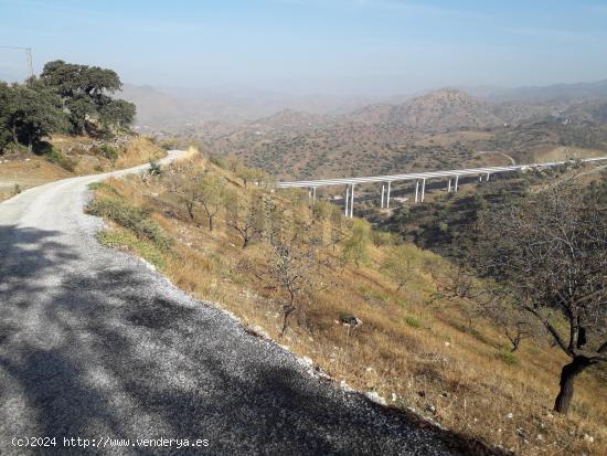 Terreno rustico de 91.140m2 en Paraje de Santa Cruz - MALAGA