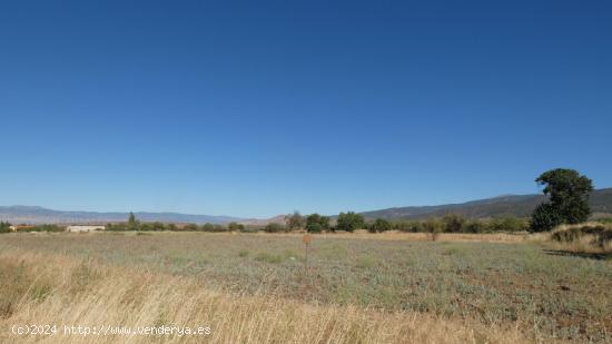 Finca en venta en Jerez del Marquesado - GRANADA