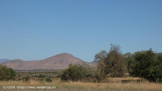 Finca en venta en Jerez del Marquesado - GRANADA