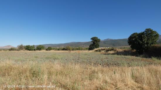 Finca en venta en Jerez del Marquesado - GRANADA