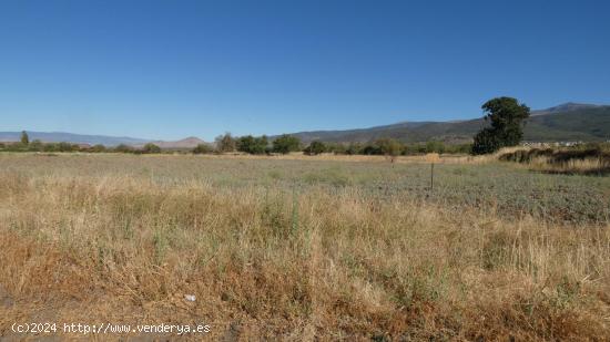 Finca en venta en Jerez del Marquesado - GRANADA