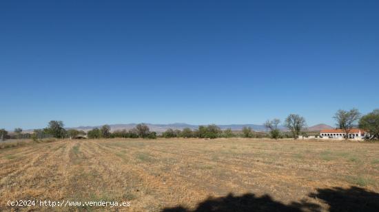  Finca en venta en Jerez del Marquesado - GRANADA 