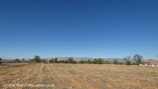 Finca en venta en Jerez del Marquesado - GRANADA