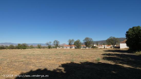 Finca en venta en Jerez del Marquesado - GRANADA