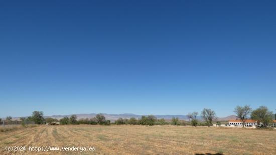 Finca en venta en Jerez del Marquesado - GRANADA