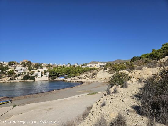 OPORTUNIDAD DE INVERSION EN SUELO INTERESANTE EN EL CAMPELLO CON VISTA AL MAR EN BUENA ZONA. - ALICA