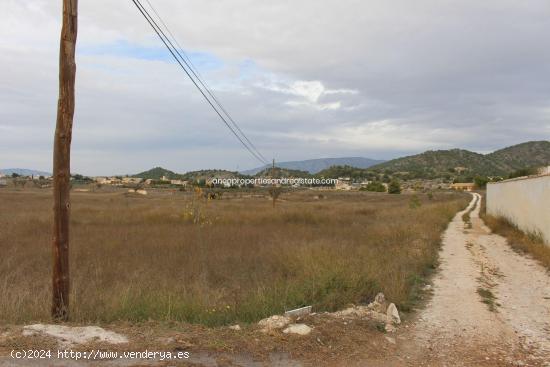  TERRENO SEMI URBANO CON DERECHOS DE AGUA - ALICANTE 