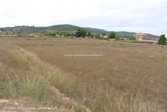 TERRENO SEMI URBANO CON DERECHOS DE AGUA - ALICANTE