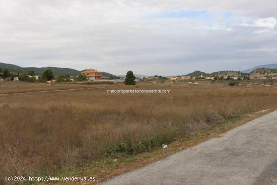 TERRENO SEMI URBANO CON DERECHOS DE AGUA - ALICANTE