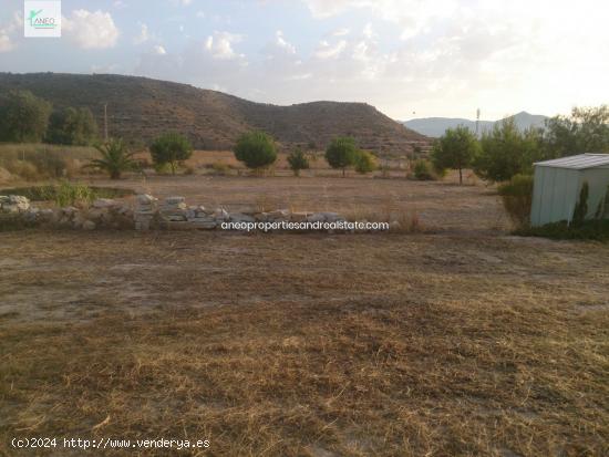  TERRENO EN MONOVAR CON 6 ACCIONES DE AGUA - ALICANTE 