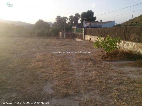 TERRENO EN MONOVAR CON 6 ACCIONES DE AGUA - ALICANTE