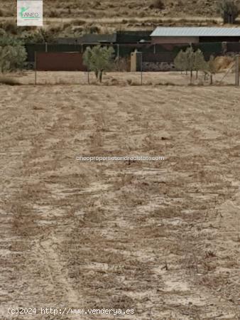 TERRENO EN MONOVAR CON 6 ACCIONES DE AGUA - ALICANTE