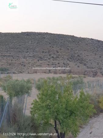 TERRENO EN MONOVAR CON 6 ACCIONES DE AGUA - ALICANTE