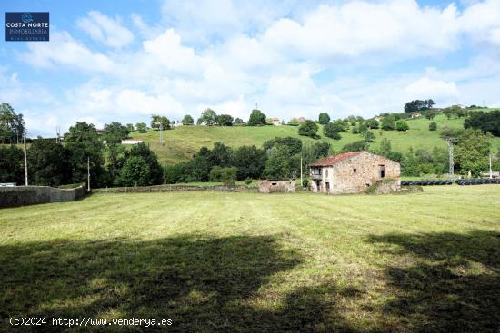 Terreno urbano consolidado de 10.156 m2 con 264 m2 construidos, La Cavada, Riotuerto, Cantabria - CA