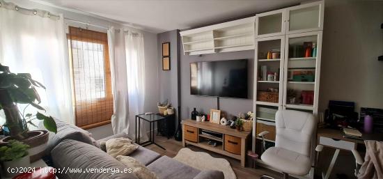 Apartamento zona plaza de toros - BALEARES