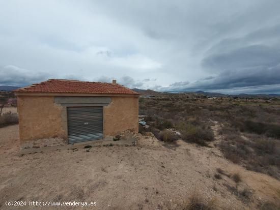  SE VENDE TERRENO CERCA DE SAN VICENTE DEL RASPEIG - ALICANTE 