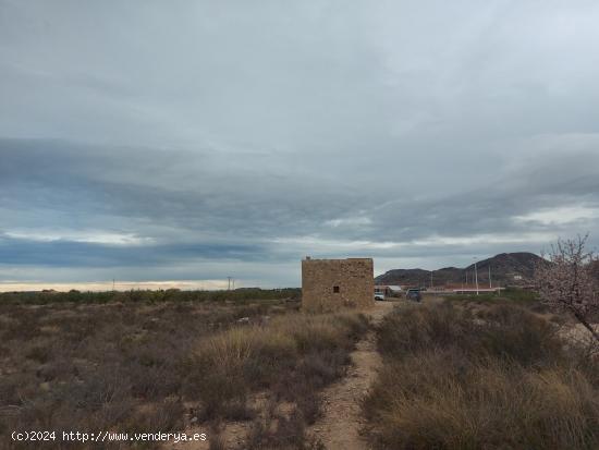 SE VENDE TERRENO CERCA DE SAN VICENTE DEL RASPEIG - ALICANTE