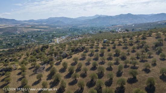 Se Vende en alora - MALAGA