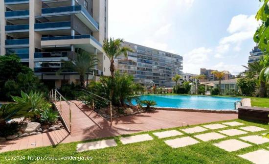 SE ALQUILA MAGNÍFICO PISO DE PAU 5, PLAYA SAN JUAN - ALICANTE