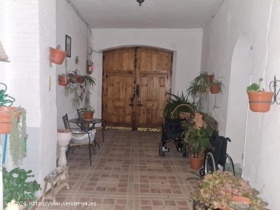 Tres casas en venta