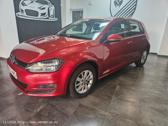 Volkswagen Golf 1.6TDI CR EDITION BM - Oliva