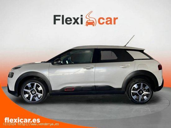 Citroën C4 Cactus PureTech 81KW (110CV) S&S Feel - Vilafranca del Penedès