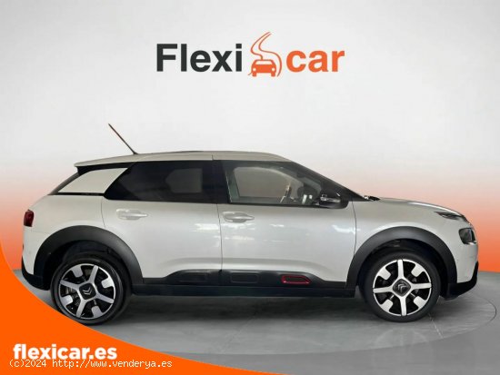 Citroën C4 Cactus PureTech 81KW (110CV) S&S Feel - Vilafranca del Penedès